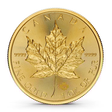 cs600x600_0005_1gml24_2_1